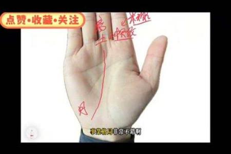 《手相学习百科》：手相看事业、职业