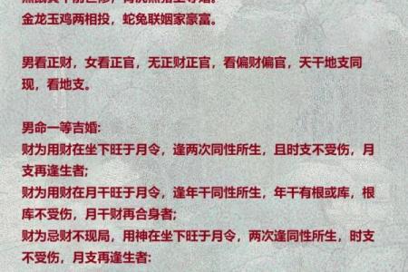 四柱八字解人生奥秘