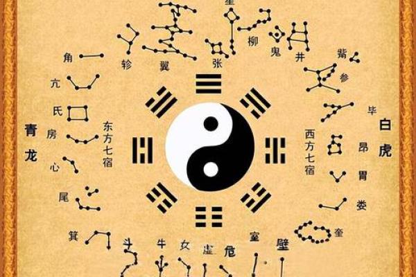 紫微斗数生肖虎 属虎的紫薇龙德是什么？