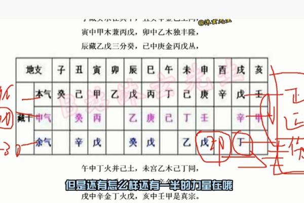 八字藏干是什么意思 八字藏干有何含义