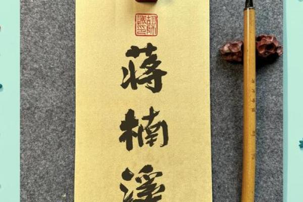 蒋姓女孩名字大全-蒋姓女孩起名字大全-蒋姓名字大全姓名