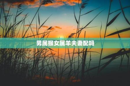 12生肖最佳夫妻配对男羊婚配 男生肖羊配什么生肖最好