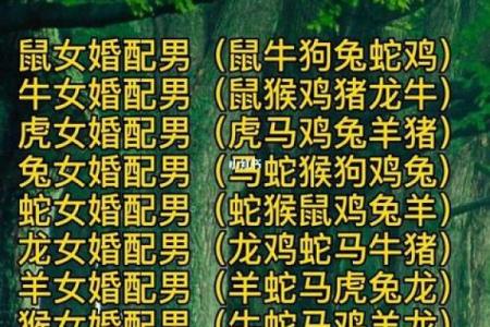 男女婚姻属相配对表 如何利用男女婚姻属相配对表选择恋爱对象
