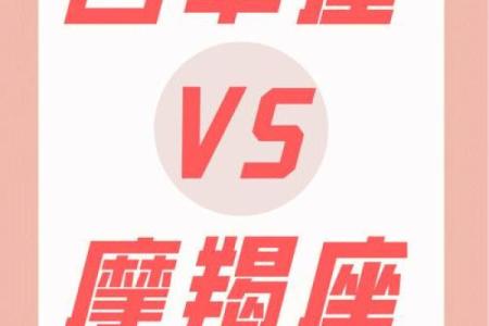 白羊男和摩羯女配对