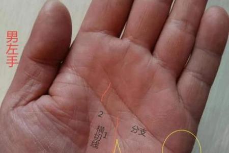 《手相学习百科》：感情线