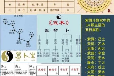 北斗星和紫薇星的区别是什么意思啊
