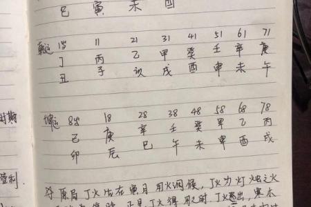 八字看什么