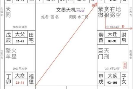 紫微斗数术语解释之：格局