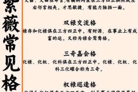 能嫁好老公的紫微命盘 必嫁贵夫的紫微斗数