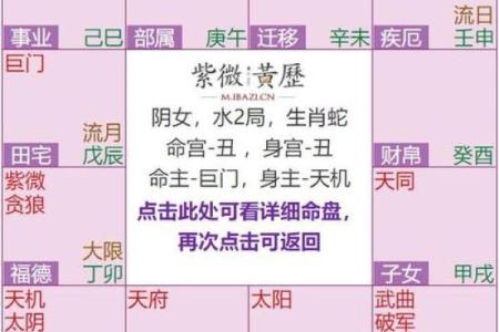 紫薇斗数紫薇天相在辰