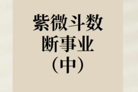 紫薇斗数外国人