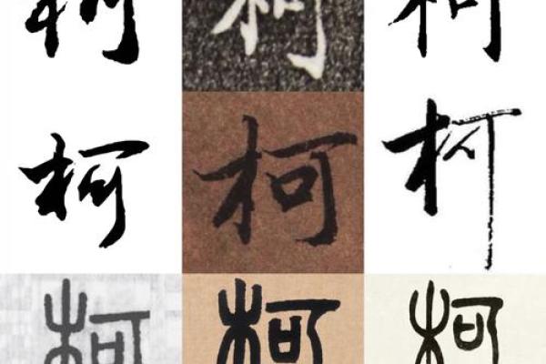 柯姓男孩名字大全-柯姓男孩起名字大全-柯姓名字大全姓名