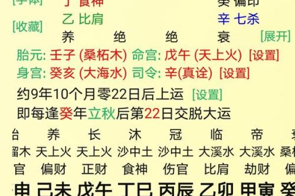 八字丁巳日