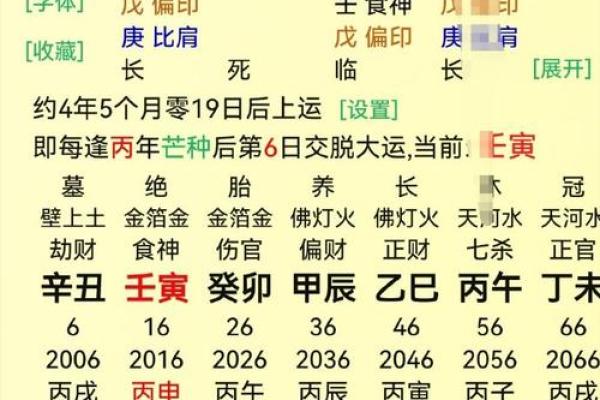 紫薇斗数壬寅年运