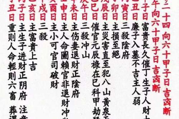 中医算命