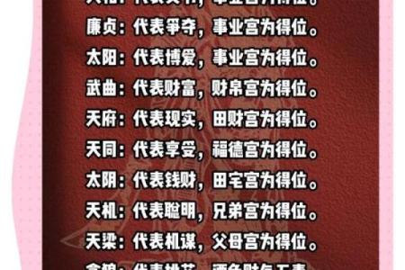 紫薇斗数星宿含义