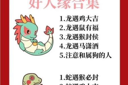 生肖兔与龙配对姻缘 生肖兔与龙相配吗？