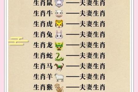 95男猪96女鼠相配吗 配对指数有多高