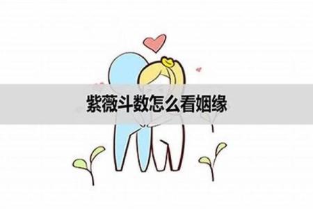 8字紫薇姻缘 紫薇姻缘预测？