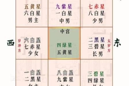 紫薇斗数太岁宫位