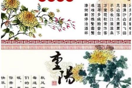 今日重阳：重阳风水，敬老的宜忌