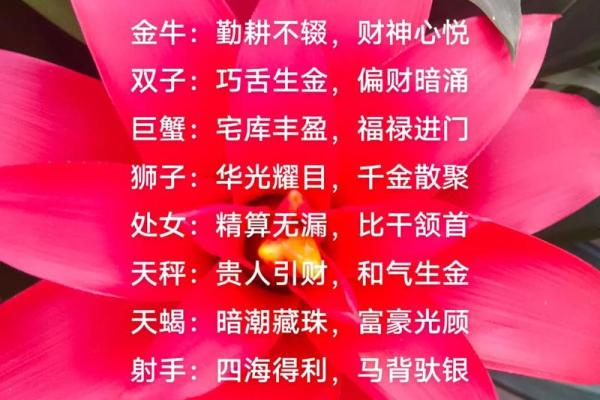 双子座今日财神,双子座今日偏财运运势