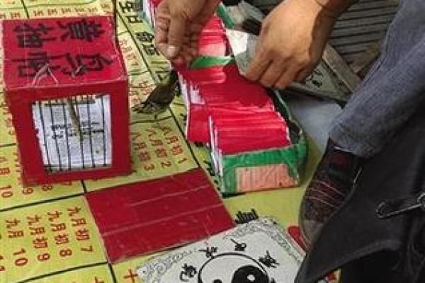 灵签占卜月底