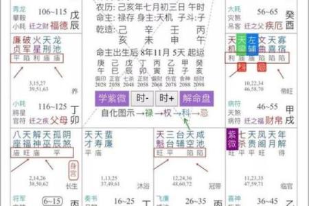 紫薇斗数官非星