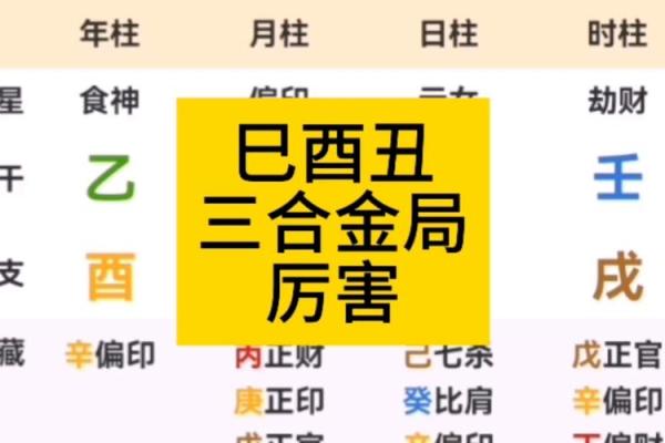 八字巳酉合