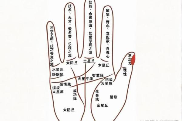 怎么算命用手就行