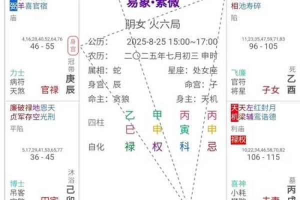 紫薇斗数看创业用什么宫位