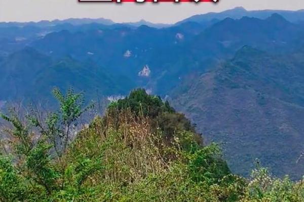 阴宅风水：杨筠松口诀立向放水