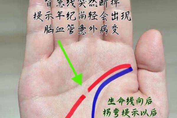 《手相学习百科》：掌纹介绍