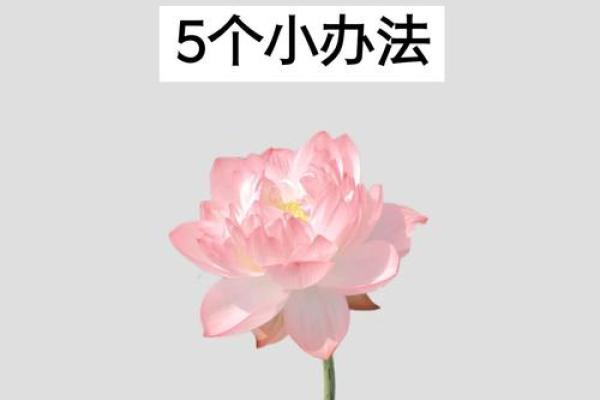 厕所风水：这样做，让你不漏财