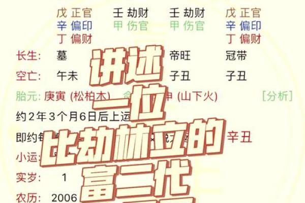 八字癸亥日