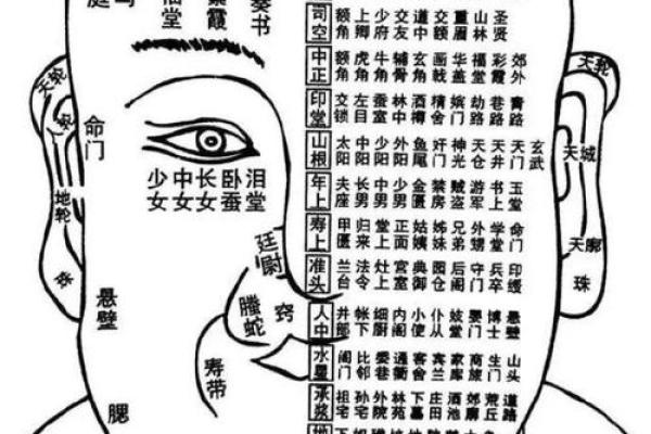 眼相算命图解大全