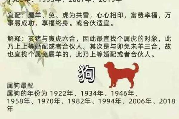 1992年属什么生肖配对