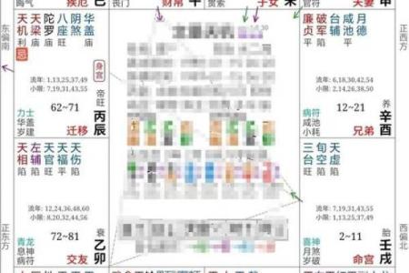 紫微斗数诸星落诸宫之：天机星夫妻宫详解