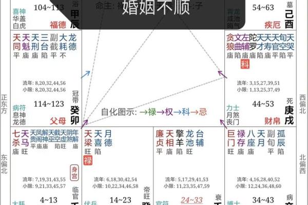 老紫薇斗数