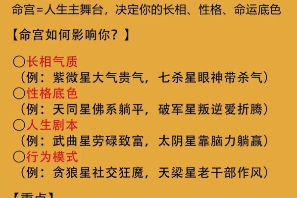 紫薇斗数命运宝典