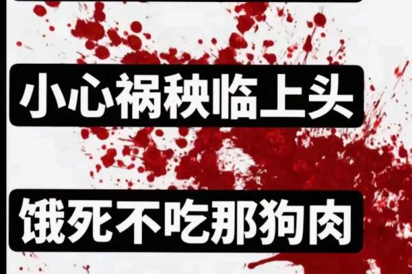 哪些人八字中不宜吃狗肉