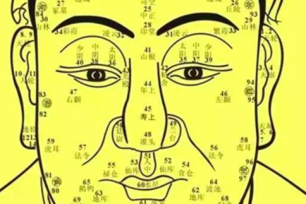 从人的腿部看相算命