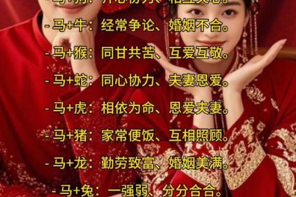 姻缘配对百分之几