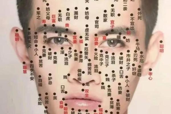 看头发面相知道运势 面相头发算命