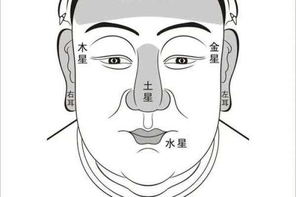 看头发面相知道运势 面相头发算命
