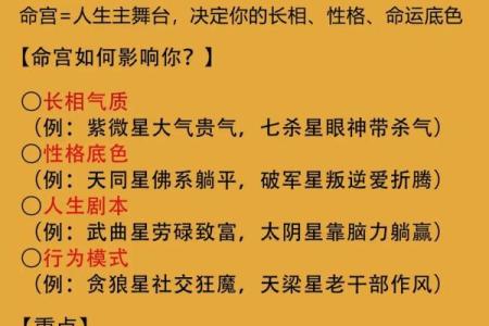 紫薇斗数命运宝典