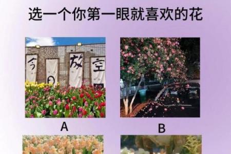 才储心理测试,专业心理测试