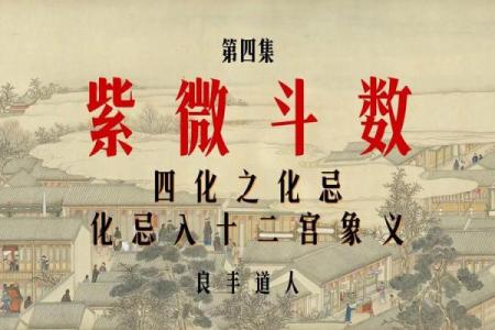 看紫薇斗数禁忌