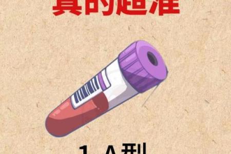 血型人吃对食物倍儿瘦