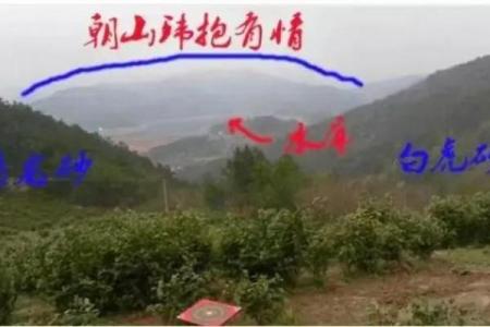 农村阴宅风水宝地的意思是什么禁忌